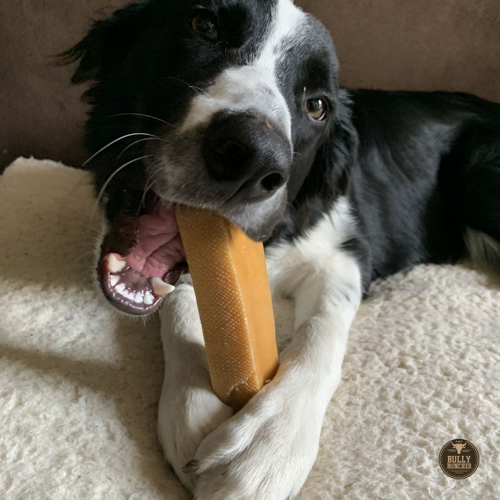 Mega Yak Cheese Dog Chew – Extra Large Himalayan Yak Milk Chew for Aggressive Chewers (190g+)