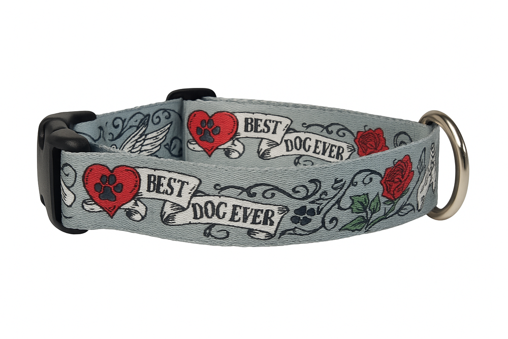2 Hounds Design EarthStyle Buckle Martingale Collar – Best Dog Ever (1" Wide, Eco-Friendly)