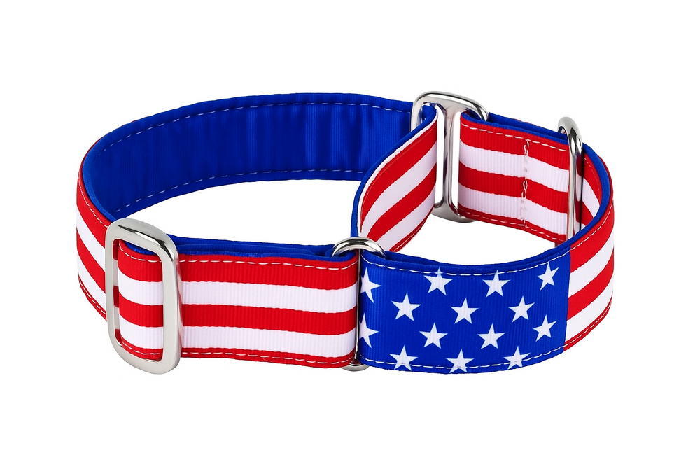 2 Hounds Design Stars & Stripes Buckle Martingale Dog Collar – USA-Inspired Comfort & Control
