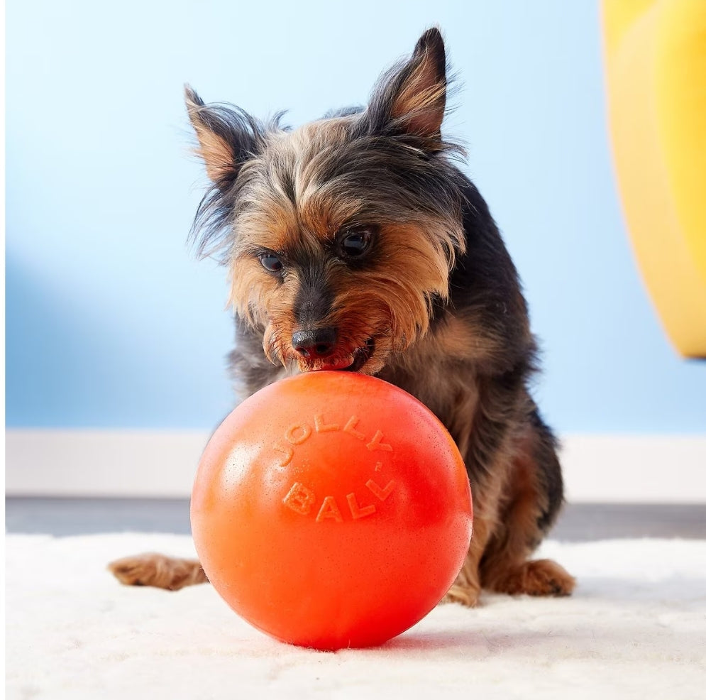 Jolly Pets Bounce-n-Play Dog Ball – Durable, Bouncy, Floating Dog Toy for Fetch and Pool Fun