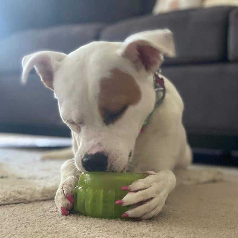 Starmark Everlasting Treat Sprocket Medium: Ultimate Dog Chew Toy for Lasting Fun