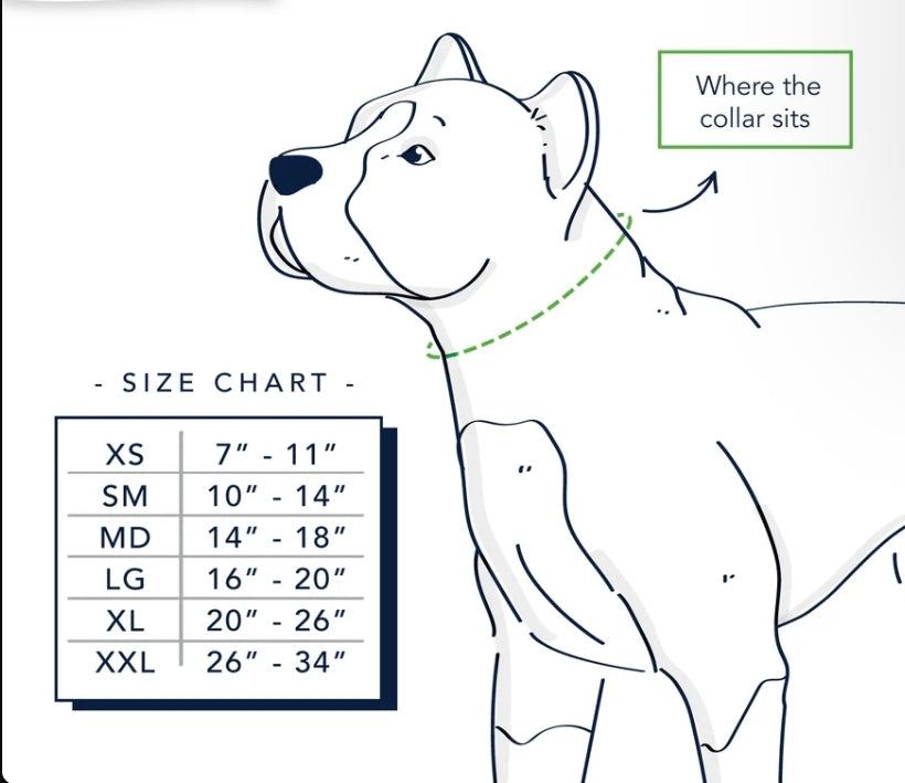 2 Hounds Design Blue Plaid Velvet Essential Dog Collar – Soft, Stylish & Durable