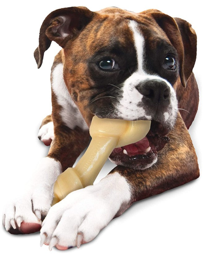 Nylabone Power Chew Knot Bone Chew Toy XXL (Chicken Flavor)