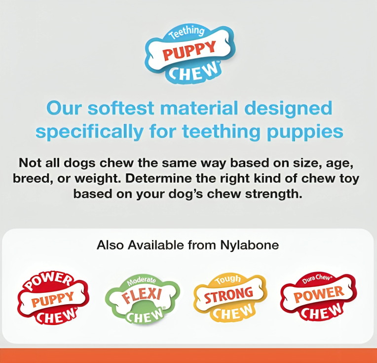 Nylabone Puppy Teething Chew Toy Key Ring โ Soothing Teether for Gentle Chewers