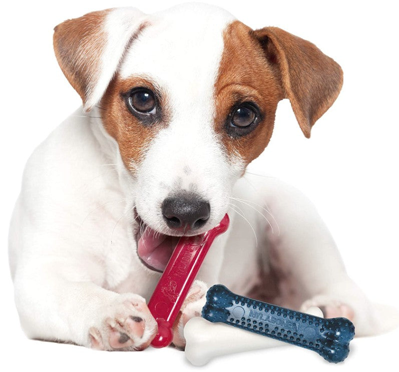 Nylabone Dura Chew Tough Dog Chew Toy Variety Pack โ Long-Lasting Peanut Butter, Chicken & Bacon Flavors