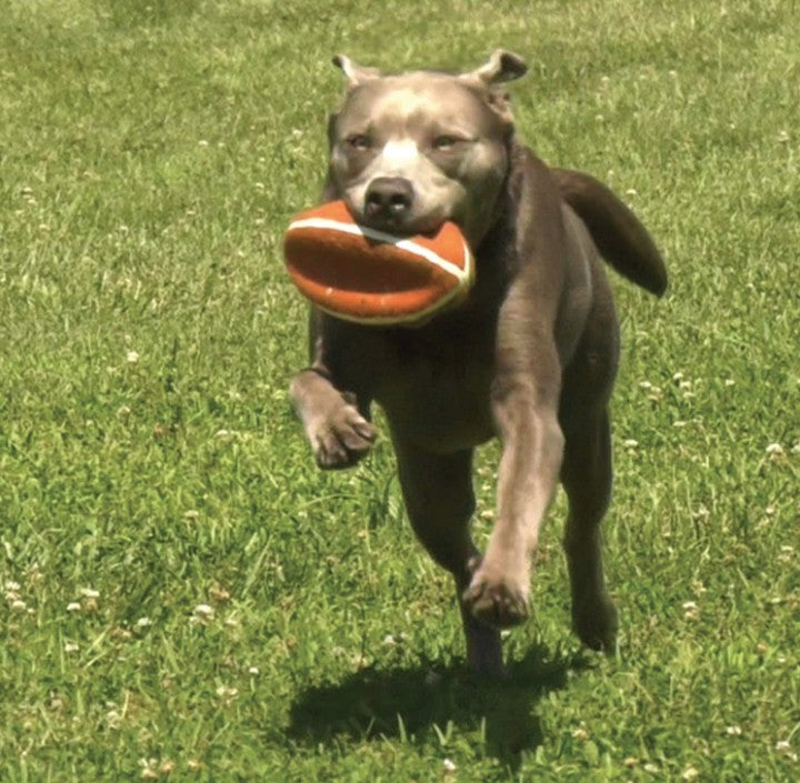 Nylabone Power Play Football Medium - Up to 35 lbs