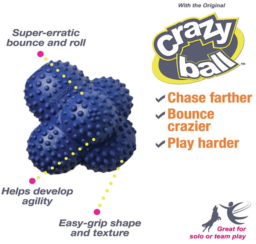 Nylabone Large Power Play Crazy Ball Dog Toy
