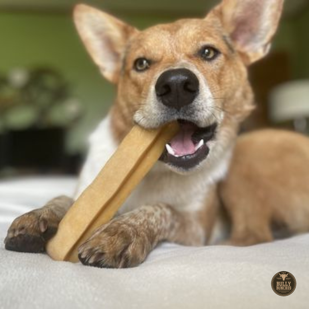 Extra Large Yak Chew – Long-Lasting Natural Dog Treat for Large Breeds