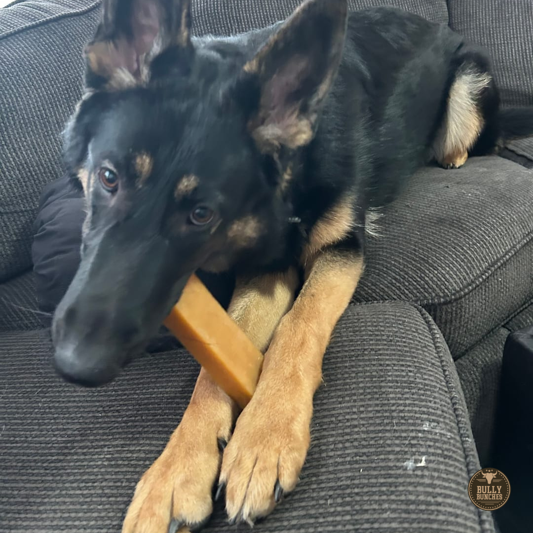 Extra Large Yak Chew – Long-Lasting Natural Dog Treat for Large Breeds