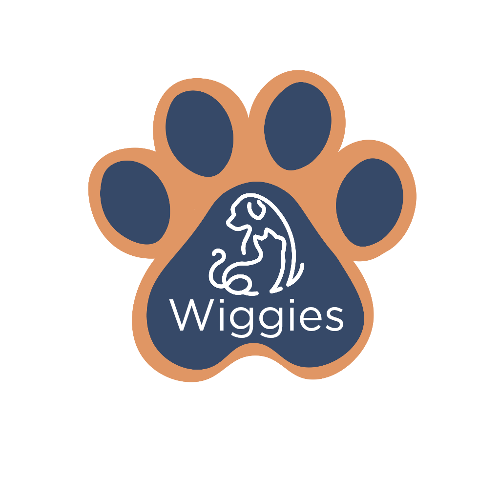 Meet Wags – The Fur Behind the Brand