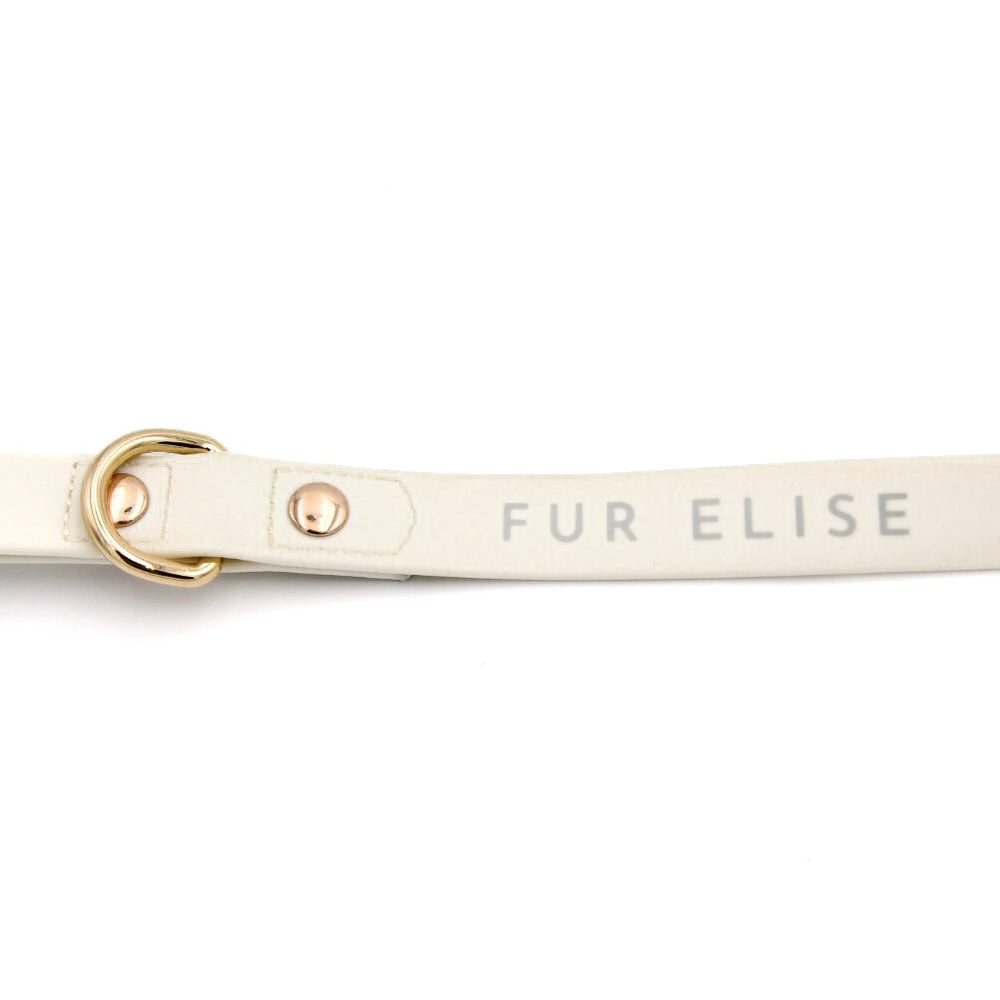 Elise Waterproof Adventure Dog Leash – 5 Ft Durable & Easy-to-Clean - Bone