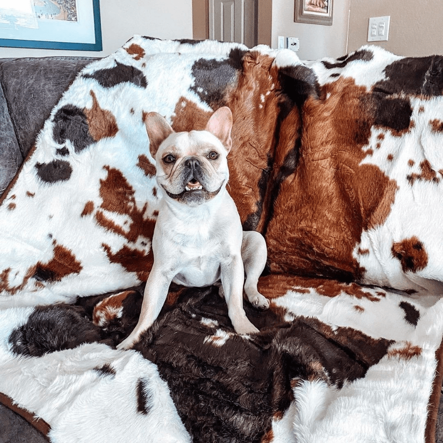 PupProtector™ Waterproof Dog Blanket – Durable, Washable, Throw Furniture Protector for Pets - Brown Faux Cowhide