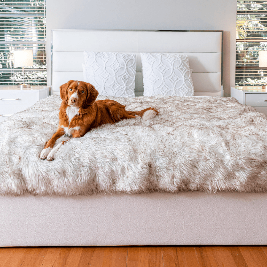 PupProtector™ Waterproof Dog Blanket – Durable, Washable, Throw Furniture Protector for Pets - White with Brown Accents