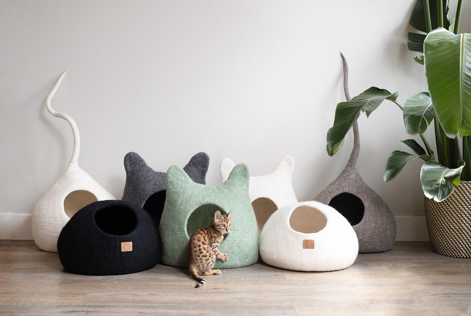 Cozy Haven Cat Bed - Sky Blue | Ear Style Cave