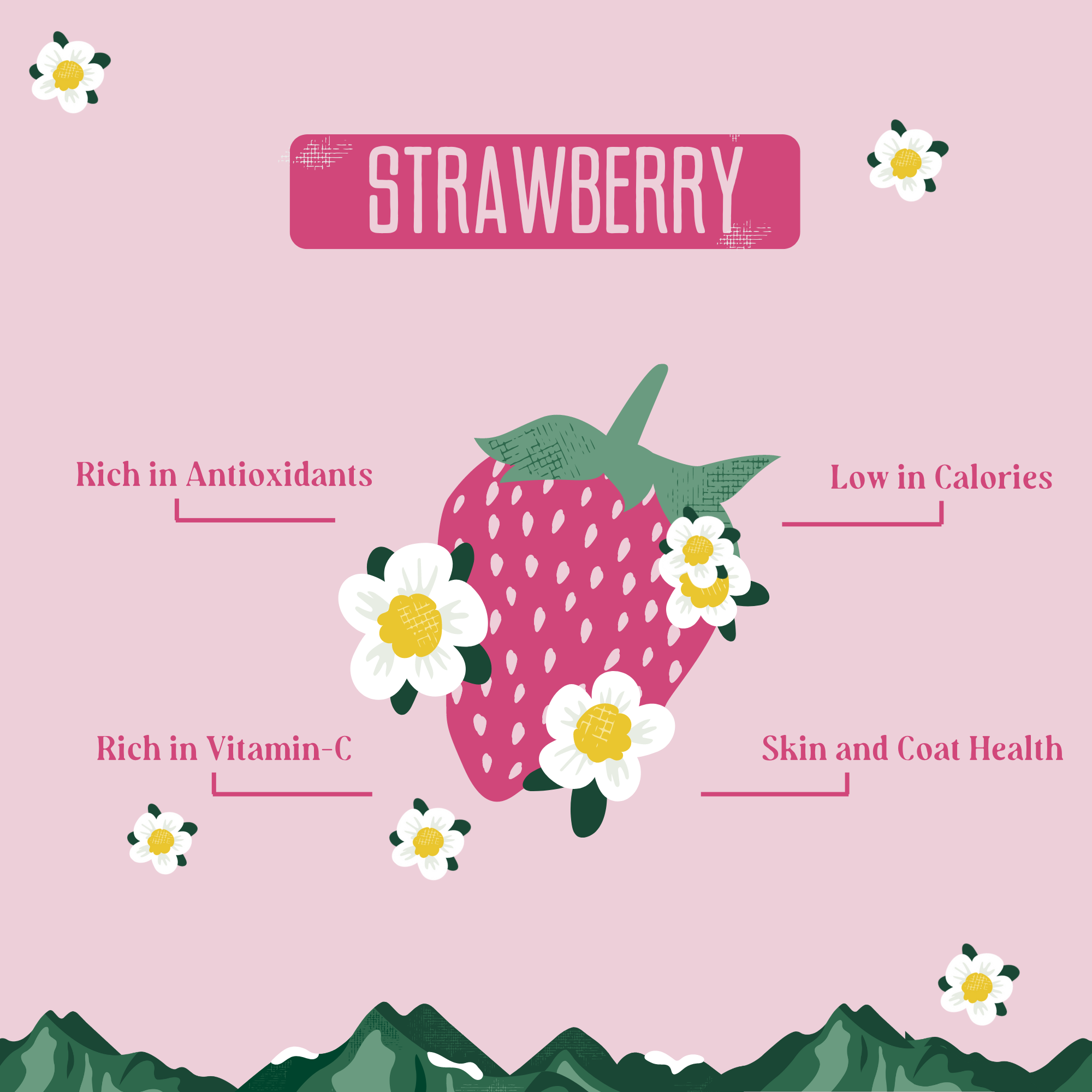 Yak9 Strawberry Yak Cheese Dog Chews – Long-Lasting Natural Chews for Immune & Skin Health