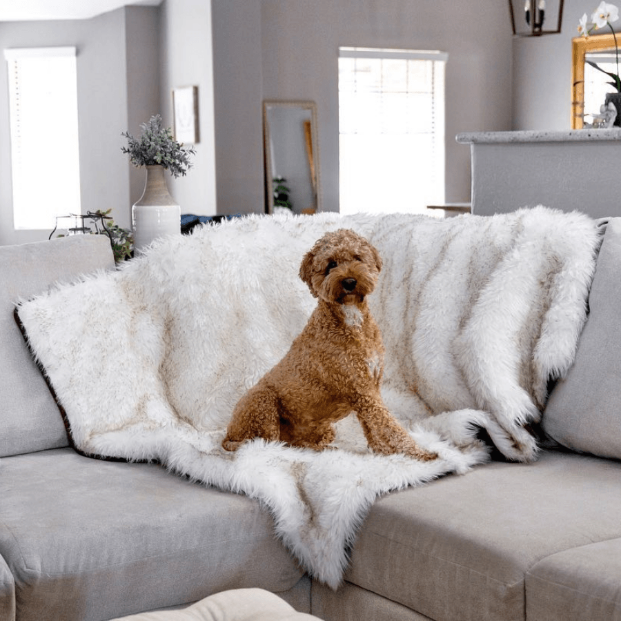 PupProtector™ Waterproof Dog Blanket – Durable, Washable, Throw Furniture Protector for Pets - White with Brown Accents