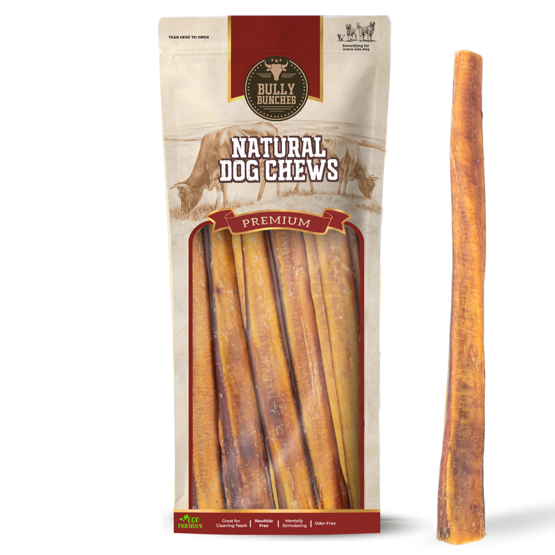 Extra Large 12" Bully Sticks for Dogs – All-Natural, Long-Lasting Chews