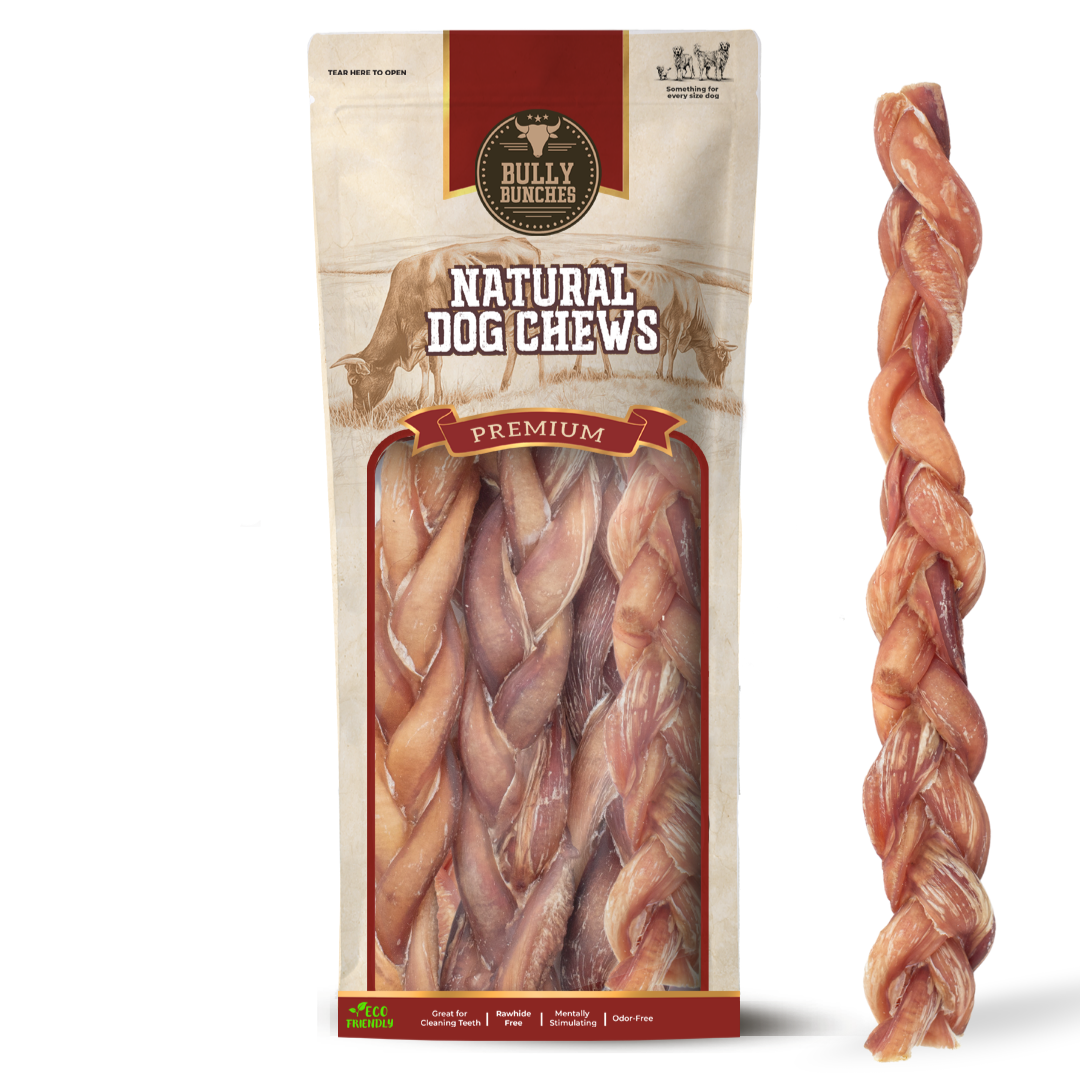 12" Thick Braided Bully Stick – Long-Lasting Dog Chew