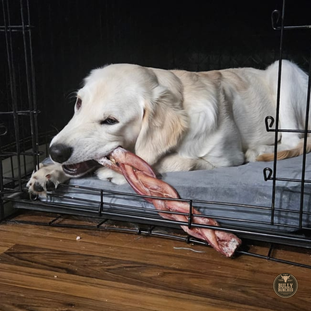 12-Inch Monster Braided Bully Stick – Jumbo, Long-Lasting Chew for Power Chewers