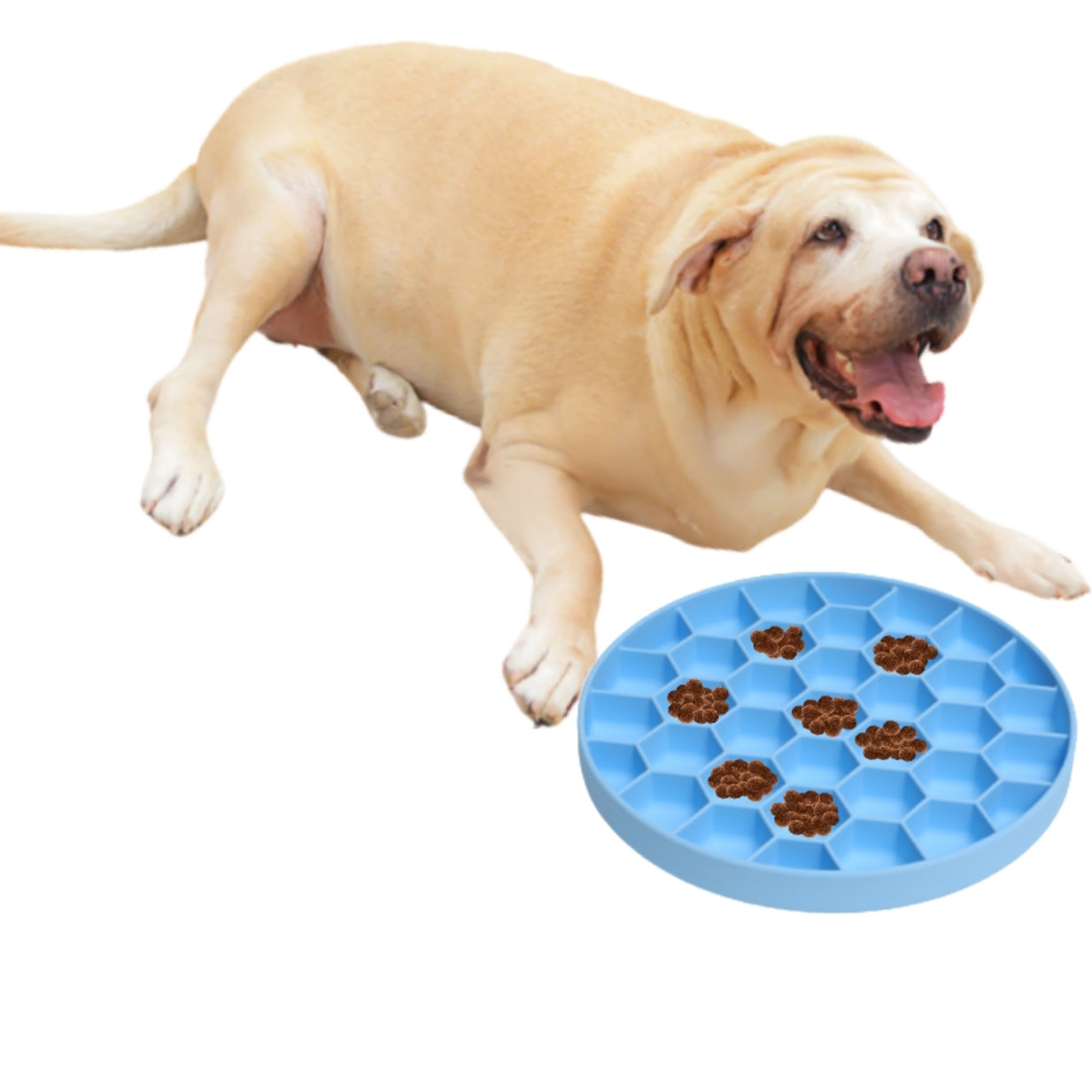 Mr. Peanut’s Slow Feeder Bowl 🐾 – Soft Silicone, Non-Slip & Vet-Approved!