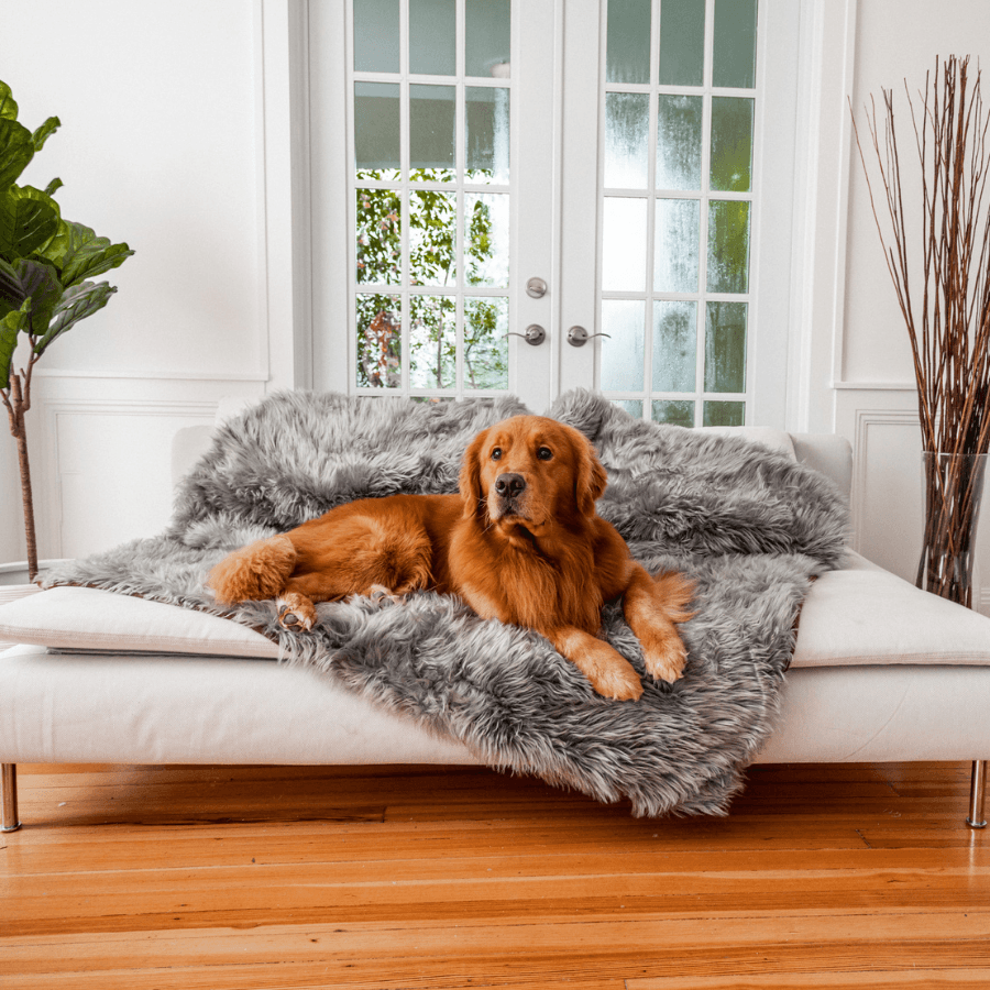 PupProtector™ Waterproof Dog Blanket – Durable, Washable, Throw Furniture Protector for Pets - Charcoal Grey