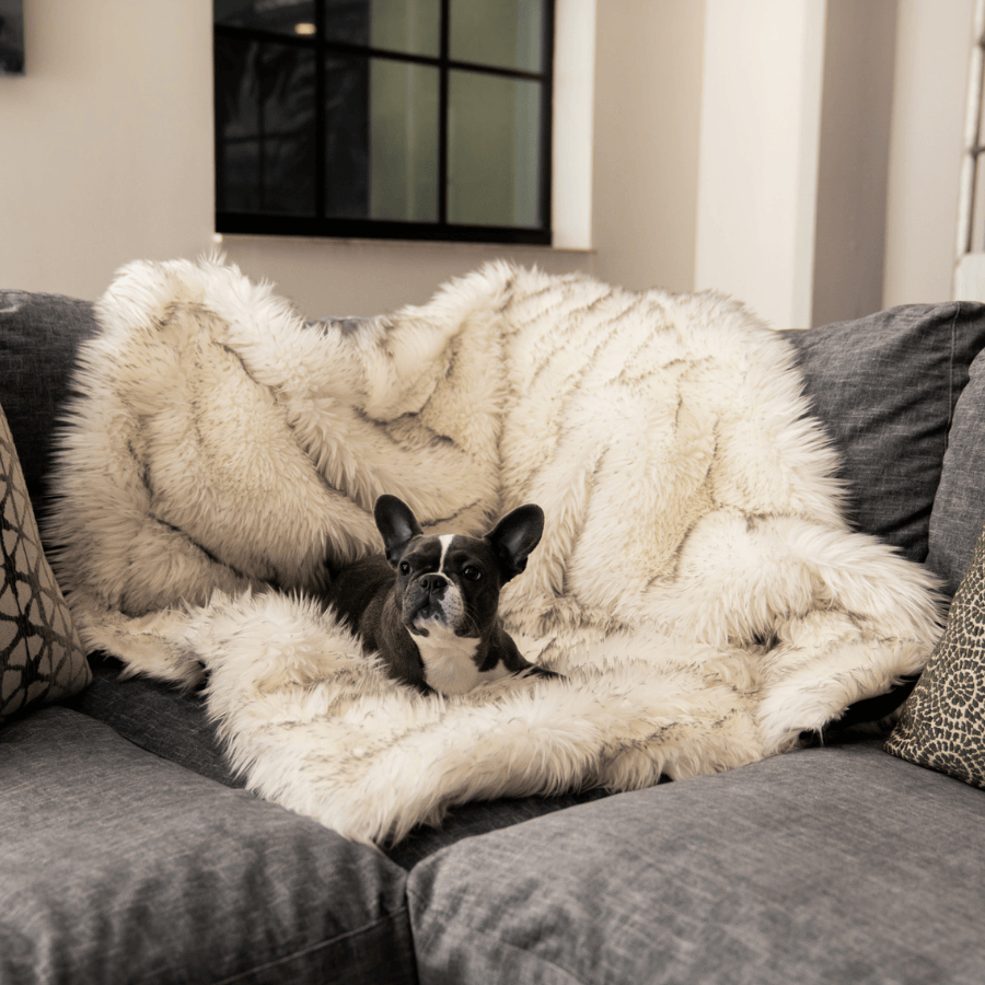 PupProtector™ Waterproof Dog Blanket – Durable, Washable, Throw Furniture Protector for Pets - White with Brown Accents