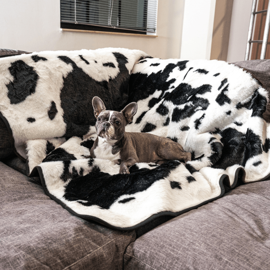 PupProtector™ Waterproof Dog Blanket – Durable, Washable, Throw Furniture Protector for Pets - Black Faux Cowhide
