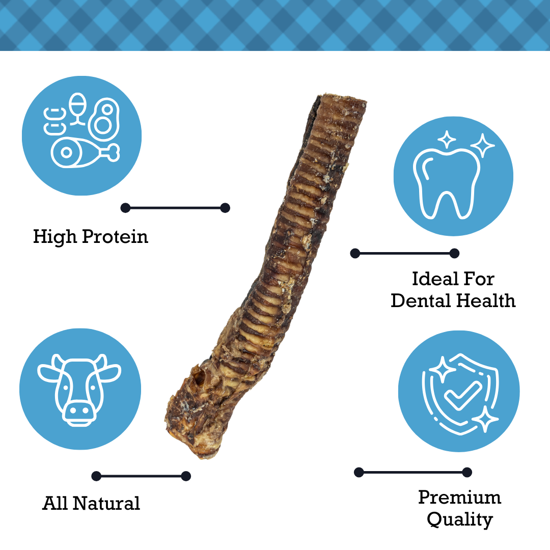 Country Living Beef Trachea Dog Treats – All-Natural 12-Inch Protein-Rich Chews (5-Pack)