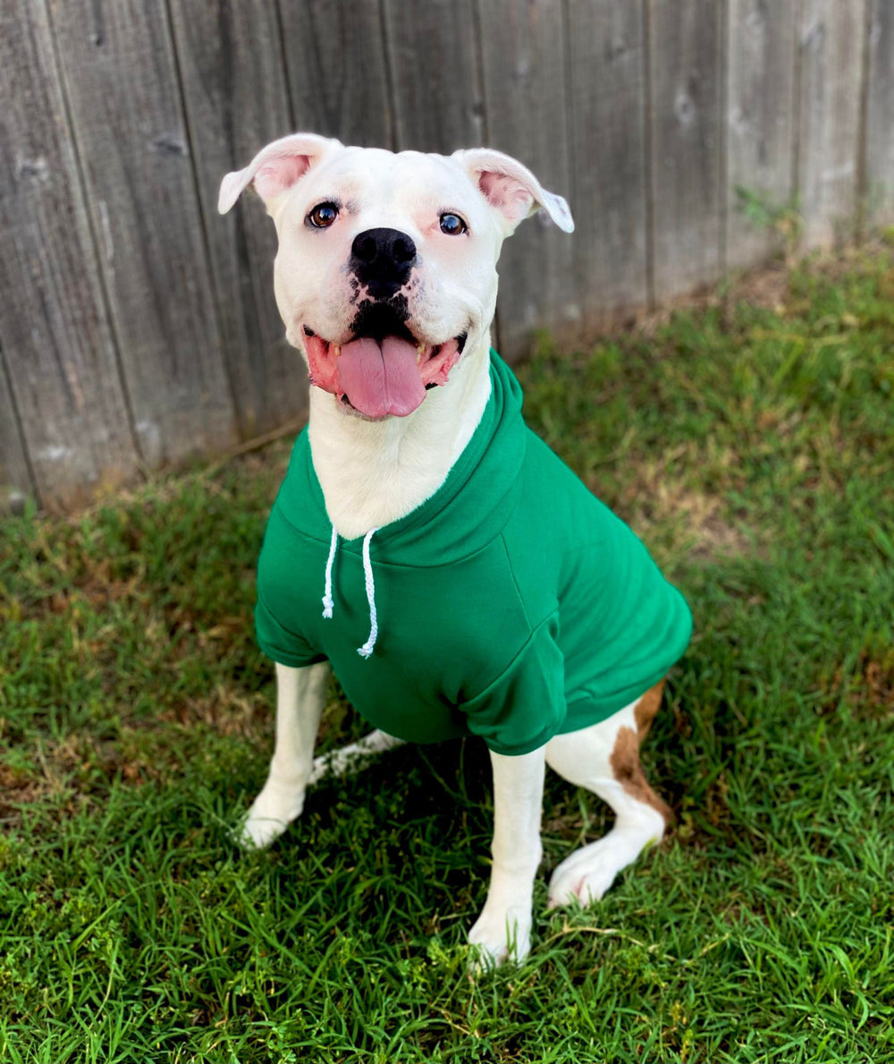 High-Quality Soft Solid-Color Hoodies for Pets - Durable and Comfortable