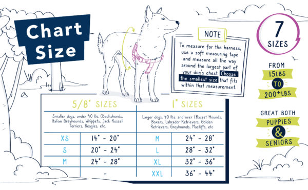 2 Hounds Design Freedom No-Pull Dog Harness with Training & Euro Leash Options – Gentle Control, Maximum Comfort 🐾
