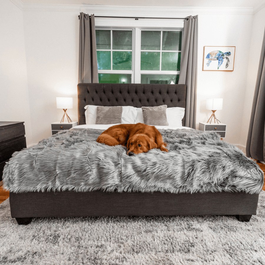 PupProtector™ Waterproof Dog Blanket – Durable, Washable, Throw Furniture Protector for Pets - Charcoal Grey
