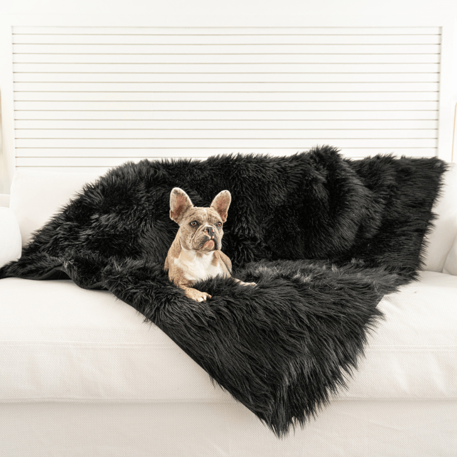 PupProtector™ Waterproof Dog Blanket – Durable, Washable, Throw Furniture Protector for Pets - Midnight Black