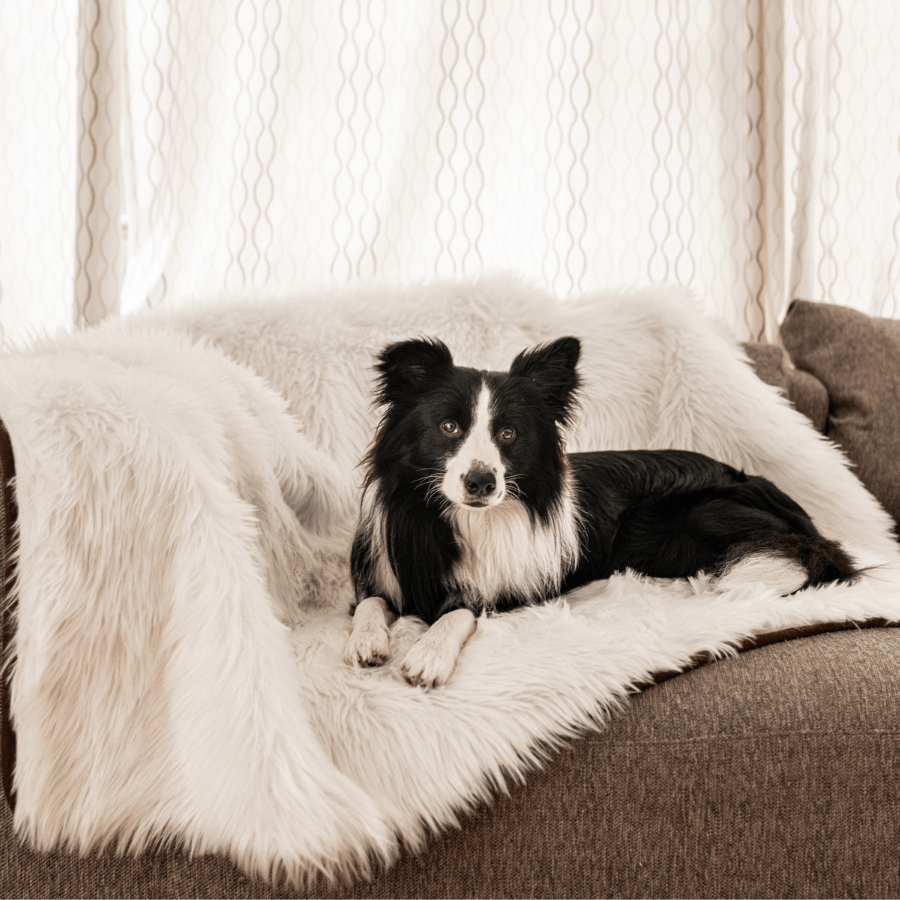 PupProtector™ Waterproof Dog Blanket – Durable, Washable, Throw Furniture Protector for Pets - Polar White