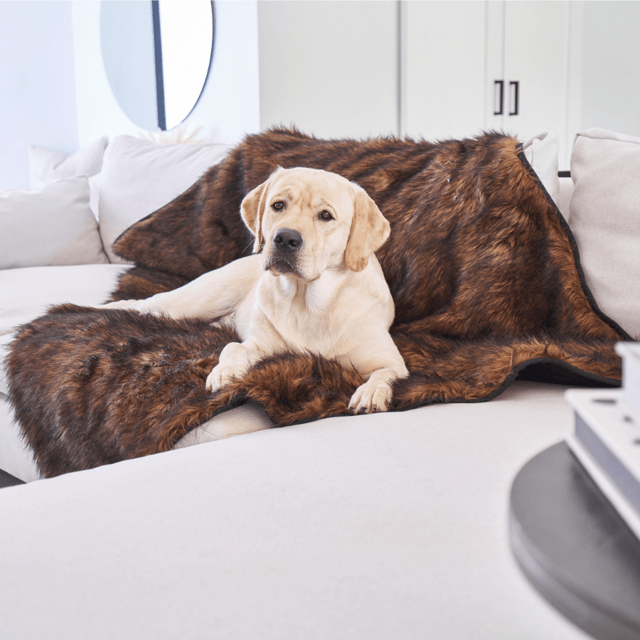 PupProtector™ Waterproof Dog Blanket – Durable, Washable, Throw Furniture Protector for Pets – Brown