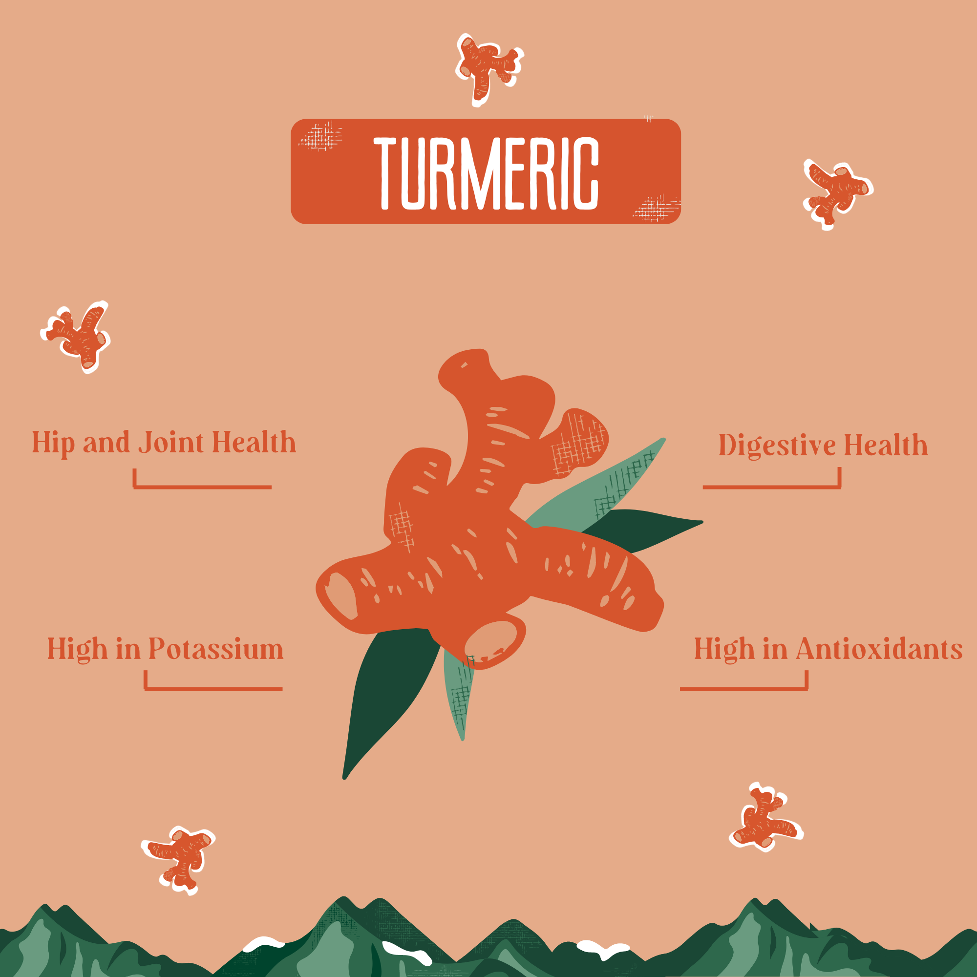 Yak9 Turmeric Yak Cheese Dog Chews – Natural Long-Lasting Chews for Joint, Dental & Digestive Health