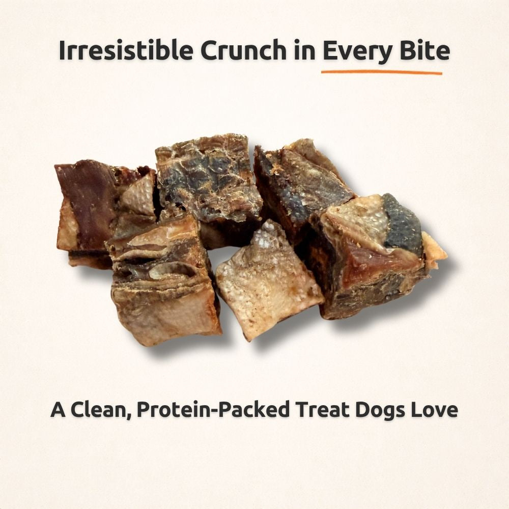 FreezeBone Salmon Skin Cubes Dog Treats – Single Ingredient Omega-Rich Crunchy Dog Treats (Value Size 8oz)