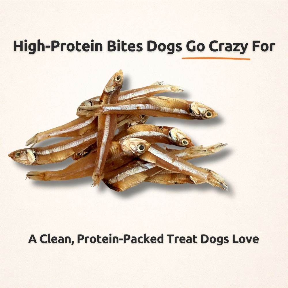 FreezeBone Sprats Dog Treats – Single Ingredient High-Protein Fish Treats (8oz Value Size)