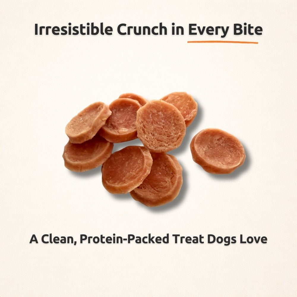 FreezeBone Chicken Chips Dog Treats – Single Ingredient High-Protein Treats (8oz Value Size)