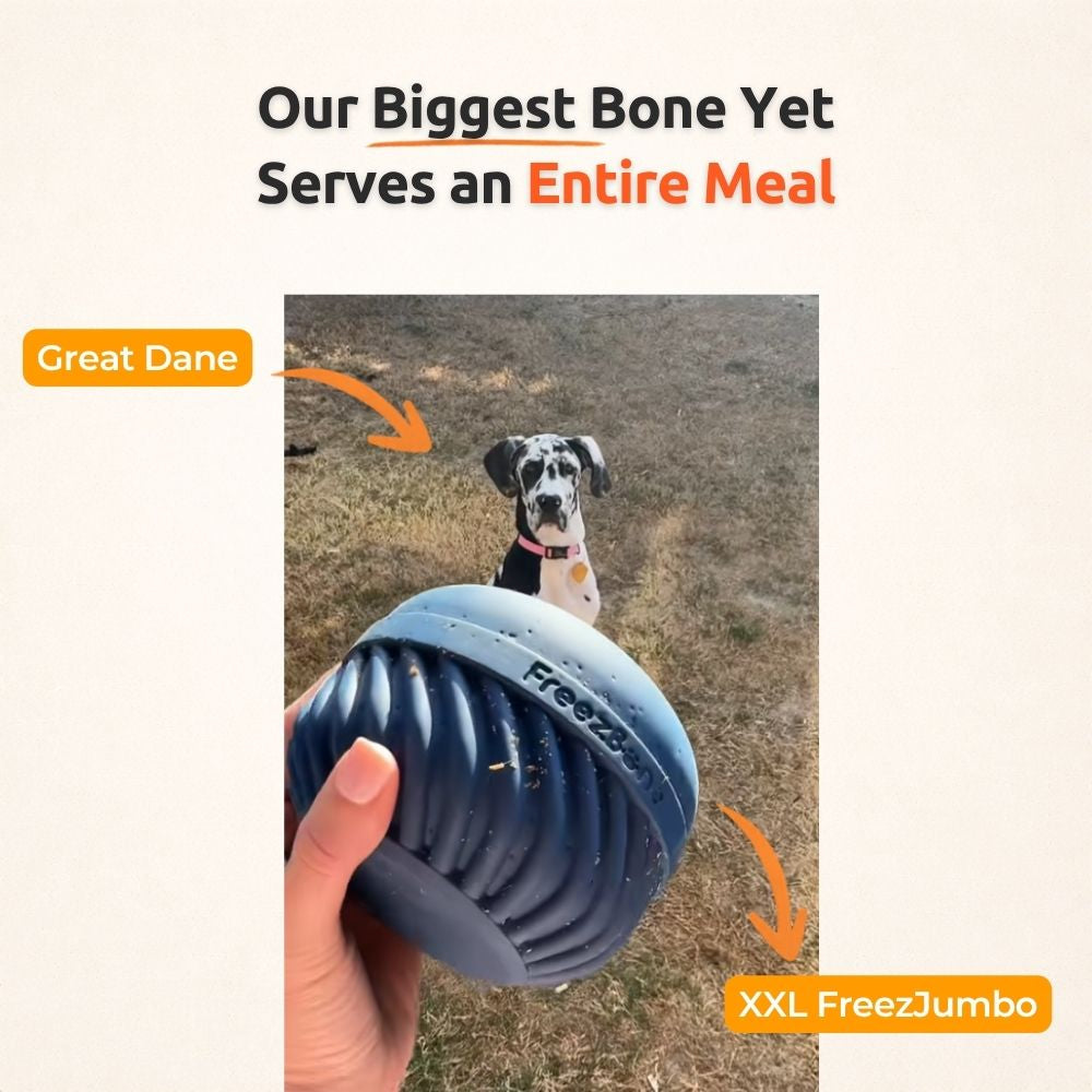 FreezJumbo™ Dog Enrichment Toy – Freezeable Slow Feeder for Large Dogs & Aggressive Chewers