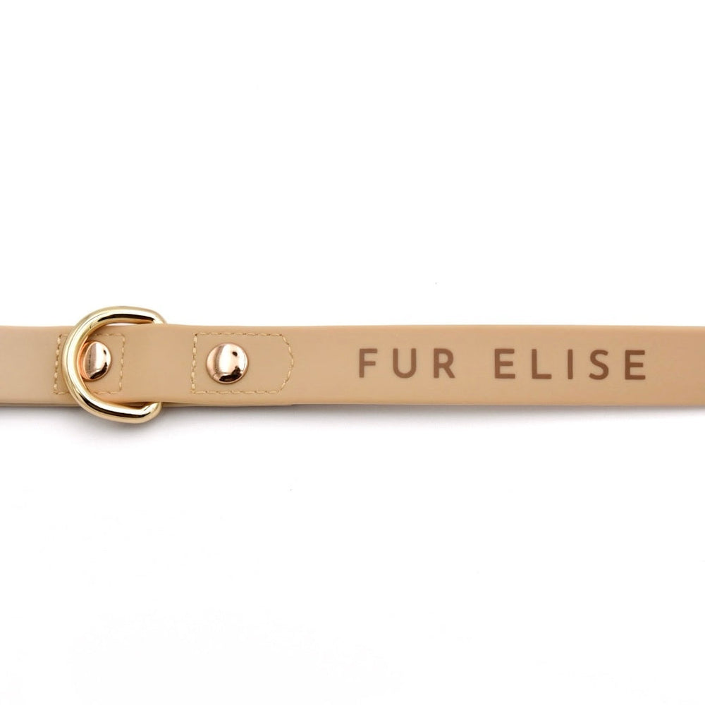 Elise Waterproof Adventure Dog Leash – 5 Ft Durable & Easy-to-Clean - Sand