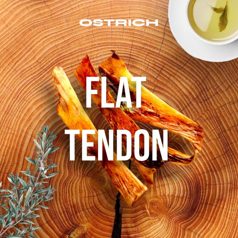 Chewy Ostrich Flat Tendon – All-Natural, Hypoallergenic Dog Chew for Dental Health & Sensitive Stomachs