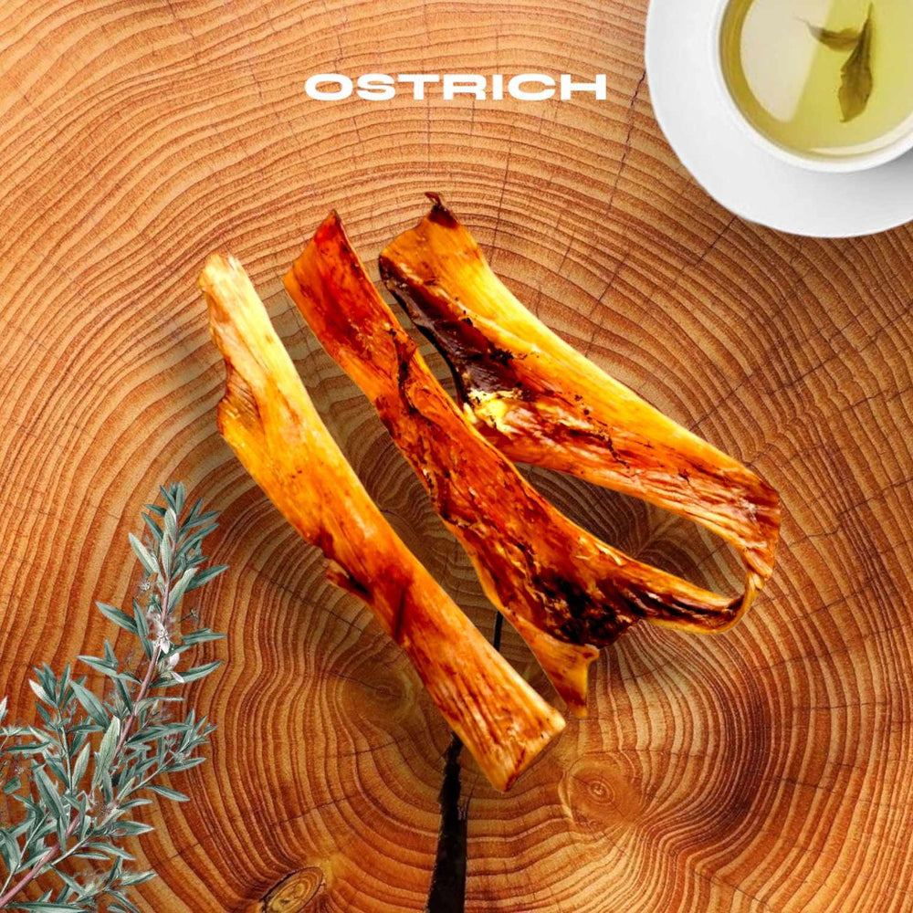 Chewy Ostrich Flat Tendon – All-Natural, Hypoallergenic Dog Chew for Dental Health & Sensitive Stomachs