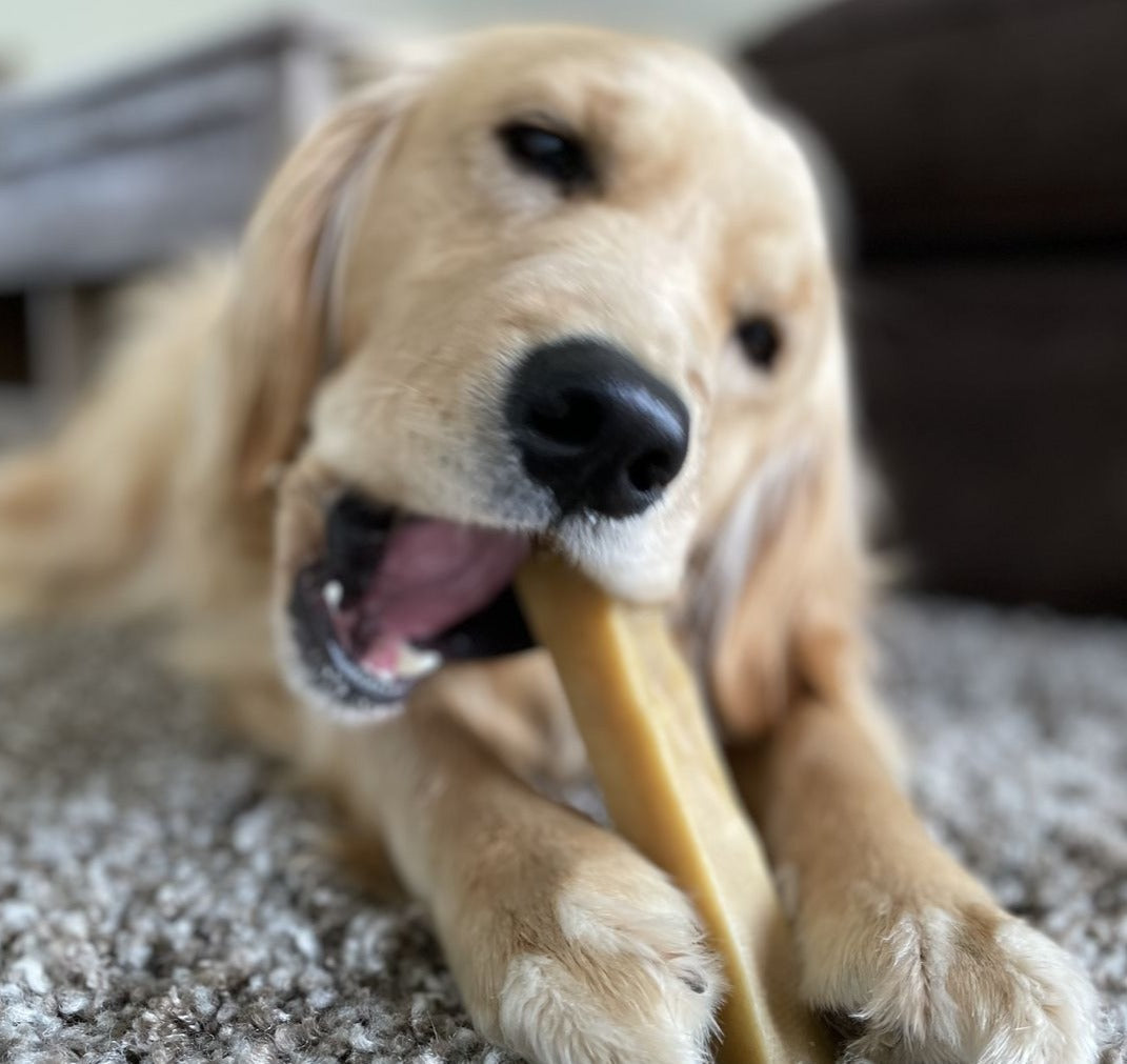 Large Yak Cheese Dog Chews – Long-Lasting Himalayan Yak Milk Chew for Medium Dogs (120–155g)