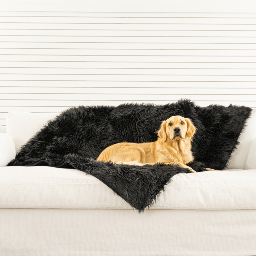 PupProtector™ Waterproof Dog Blanket – Durable, Washable, Throw Furniture Protector for Pets - Midnight Black