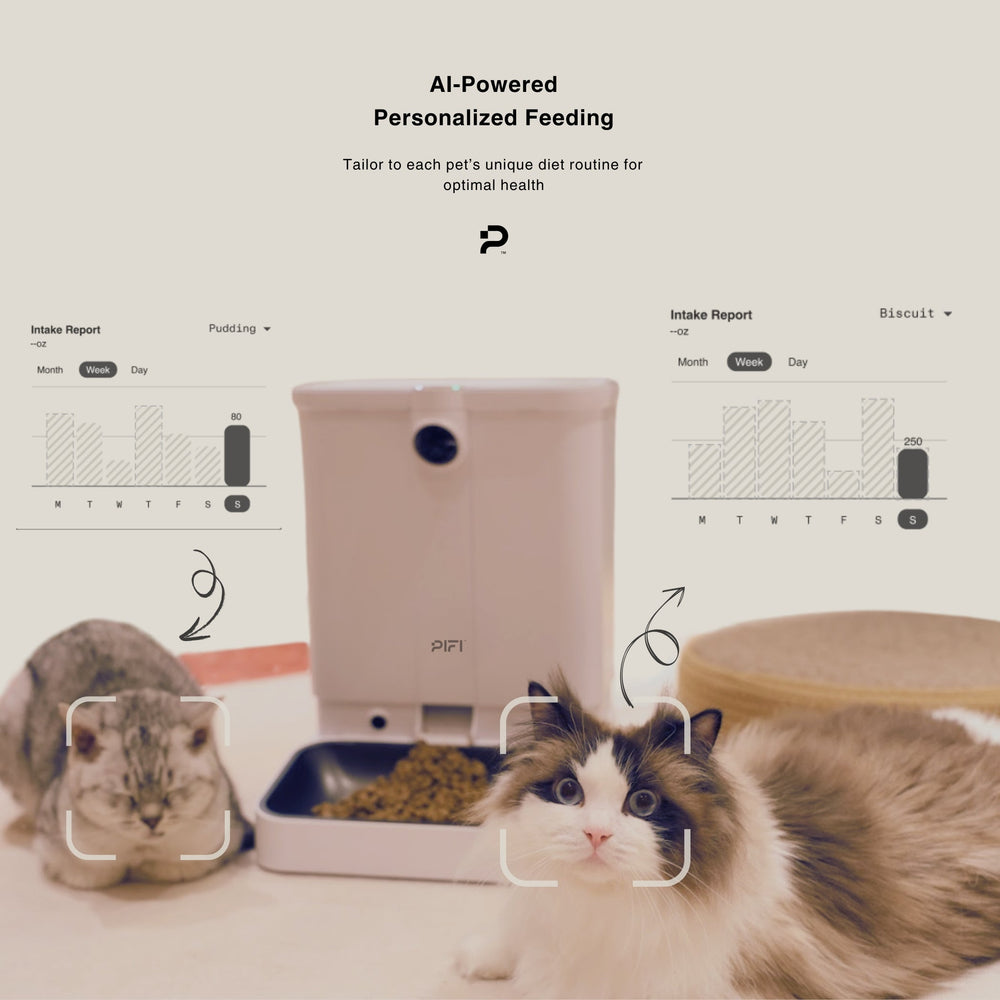 PiFi Smart Pet Feeder with HD Cameras, App Control & AI Portioning