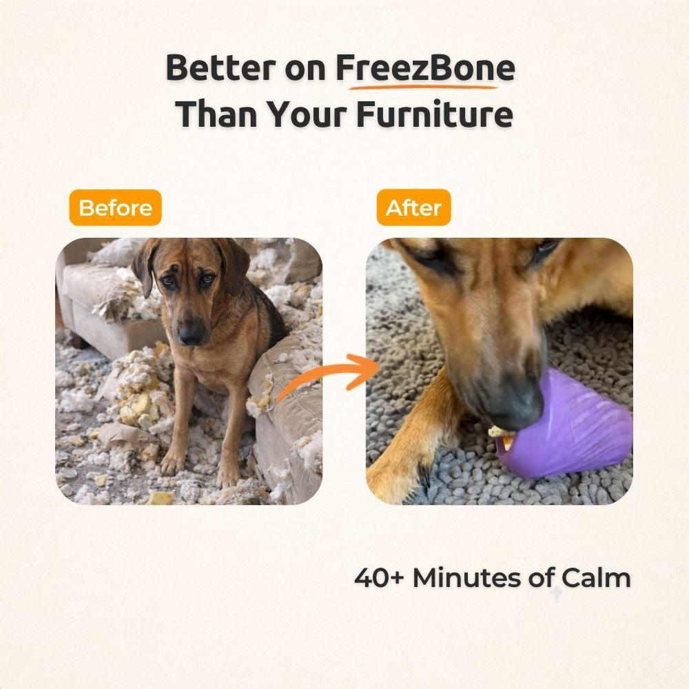 FreezCone Dog Enrichment Toy – Freezeable Slow Feeder & Treat Dispensing Toy for Tough Chewers