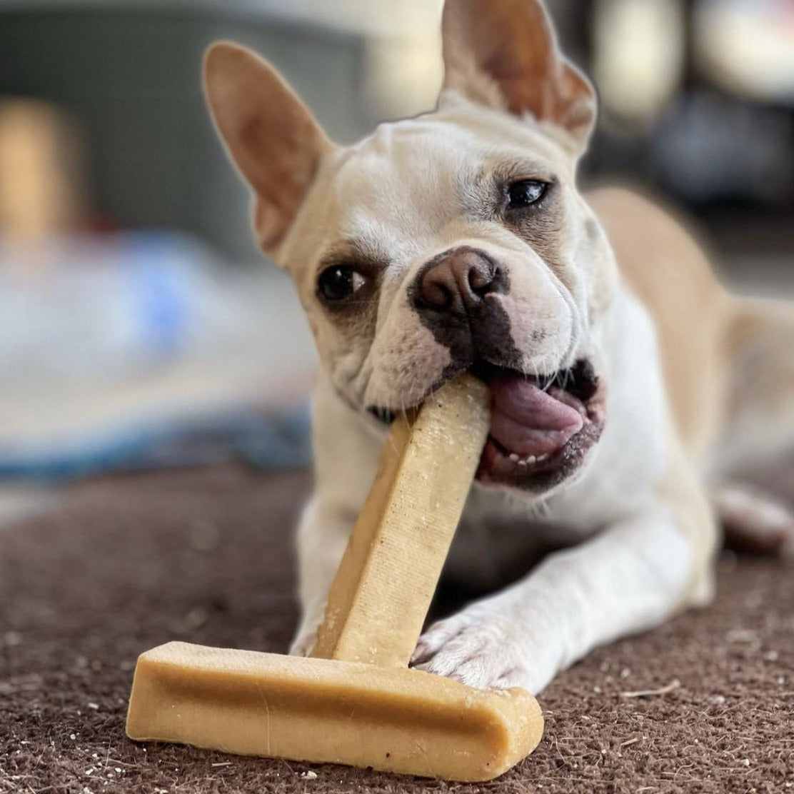Medium Yak Chews – Himalayan Yak Cheese Dog Chews for Small & Medium Dogs