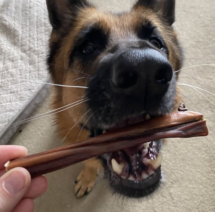 6 Inch Beef Jerky Sticks for Dogs – Soft, Single-Ingredient Chews with Joint Support