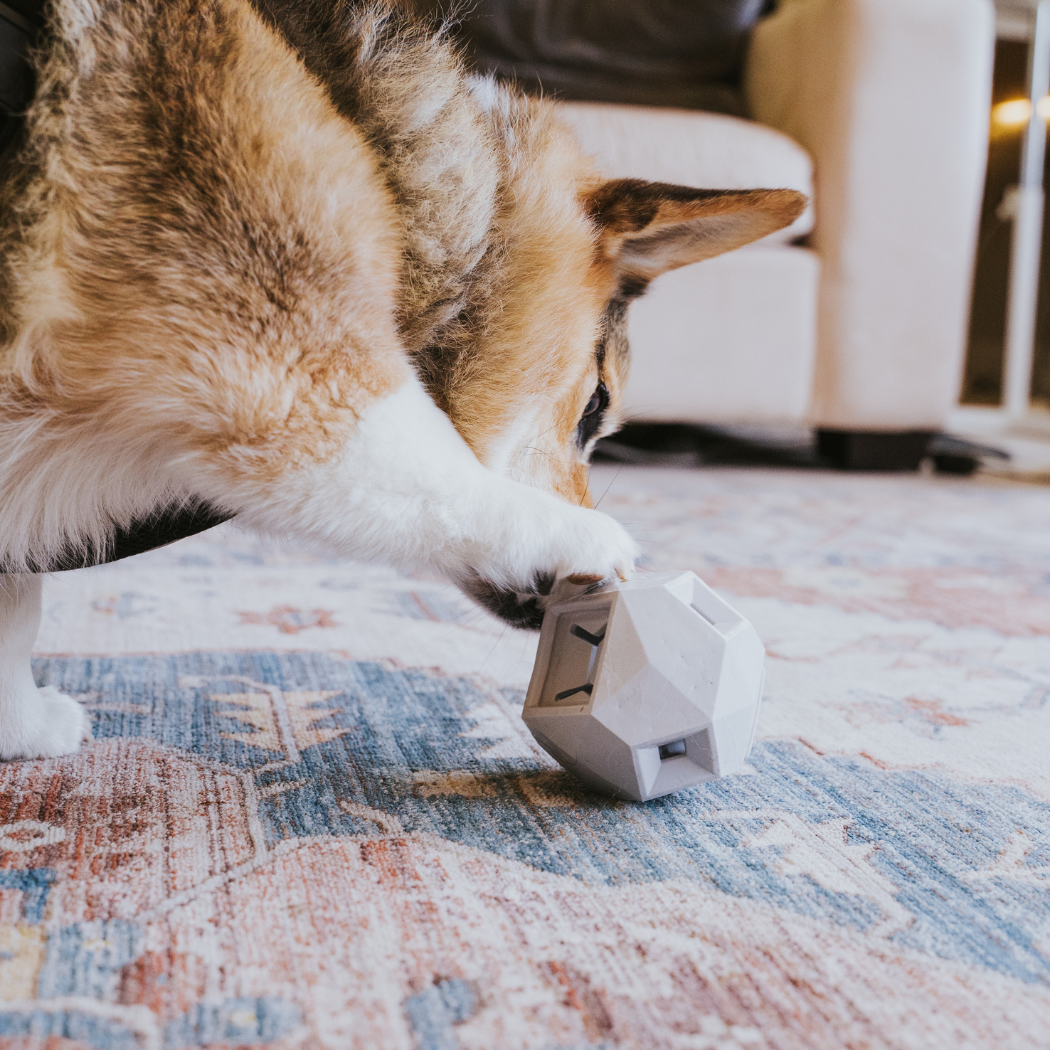 The Odin Treat Dispensing Dog Toy – Interactive Puzzle & Slow Feeder for Mental Stimulation