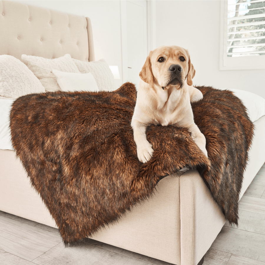 PupProtector™ Waterproof Dog Blanket – Durable, Washable, Throw Furniture Protector for Pets – Brown